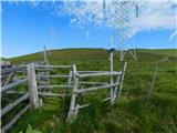 Oberfresen (Brendlwald) - Großer Speikkogel (Golica / Koralpe)