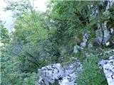 Žaga - Gulj