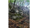 Tra le rocce
