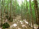 Kal-Koritnica - Lipnik (nad Lepeno)