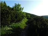 Preiner Gscheid - Neue Seehütte