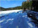 Muta (Zgornja Muta) - Košenjak