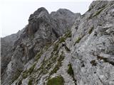 Zadnja Trenta (Flori) - Bavški Grintavec