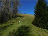 Bürgeralm (Panoramastraße) - Schönleitenhaus (Windgrube)