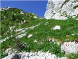 Karnica / Sella Carnizza - Vrh Muzcev (vzhodni vrh)