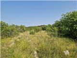 Crveni Vrh - Markovac