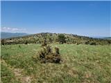 Škalnica - Pliševica
