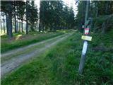 Alpl (Zisleranger Weg) - Holta-Hütte (Rattner Alm)