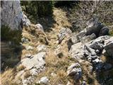 Grapica-pogled nazaj