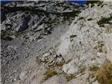 Planina Ravne - Veliki vrh (Veža)