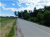Pivola (Botanični vrt Univerze v Mariboru) - Pivola (Botanični vrt Univerze v Mariboru)