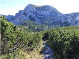 Planina Podvežak - Mala Ojstrica
