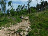 Teichalm (Teichalmsee) - Tonneggerkogel