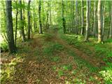 Bistrica ob Sotli - Svete gore