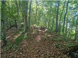Stojdraga (Glažuta) - Tuščak (Žumberačka gora)