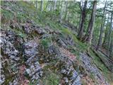 Lučka Bela (Za Loncem) - Kocbekov dom na Korošici