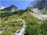 Bavšica - Zagorelec