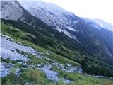 Bavšica - Šmihelovec
