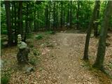 Veliki Cirnik Path.
