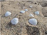 Plaža, ki jo prečiva, skriva bele  drobižke.