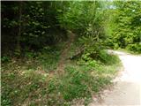 Gračnica - Sveti Lovrenc (nad vasjo Okroglice)