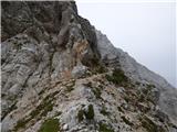 Zadnja Trenta (Flori) - Bavški Grintavec
