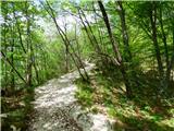 Planina Polog - Izvir Tolminke