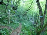 Planina Polog - Žlejžn