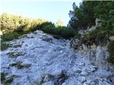 Planina Podvežak - Mala Ojstrica