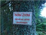 Turnovka - Veliki Travnik (Turnovka)