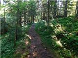 Smučišče Koralpe (Koralpenparkplatz) - Seespitz (Koralpe)