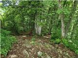 Dragonoš (Krpesovka) - Planinski dom Žitnica 