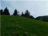 Teichalm (Teichalmsee) - Tonneggerkogel