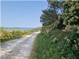 Crveni Vrh - Markovac