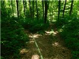 Žejno (Foto Ivanšek) - Sveti Vid (Šentviška gora)