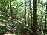 Hotel Boka - Planina Baban