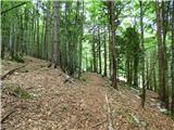 Kal-Koritnica - Lipnik (nad Lepeno)