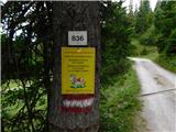 Jassing - Sonnschienhütte