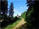 Javorje (Mala Črna) - Smrekovec