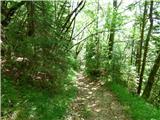 Jesenovo - Črni vrh (Čemšeniška planina)