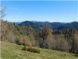 Hochstein (1741 m) in Windgrube (1809 m) Razgled, macesni skoraj brez iglic.