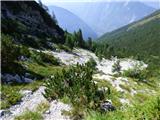 Soča - Vrh Ruš