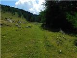 Podkraj / Unterort - Wackendorfer Spitze