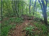 Stojdraga (Glažuta) - Tuščak (Žumberačka gora)