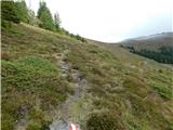 Reichenfels (most čez Labotnico / Lavant) - Peterer Kogel