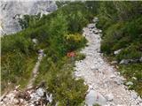 Ravenska Kočna - Kranjska Rinka