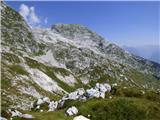 Žaga - Velika Kuhinja