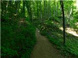 Čatež ob Savi - Sveti Vid (Šentviška gora)