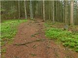 Gasen - Weberhofer Alm