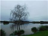 Gajševsko jezero in grad Branek Utrinek.